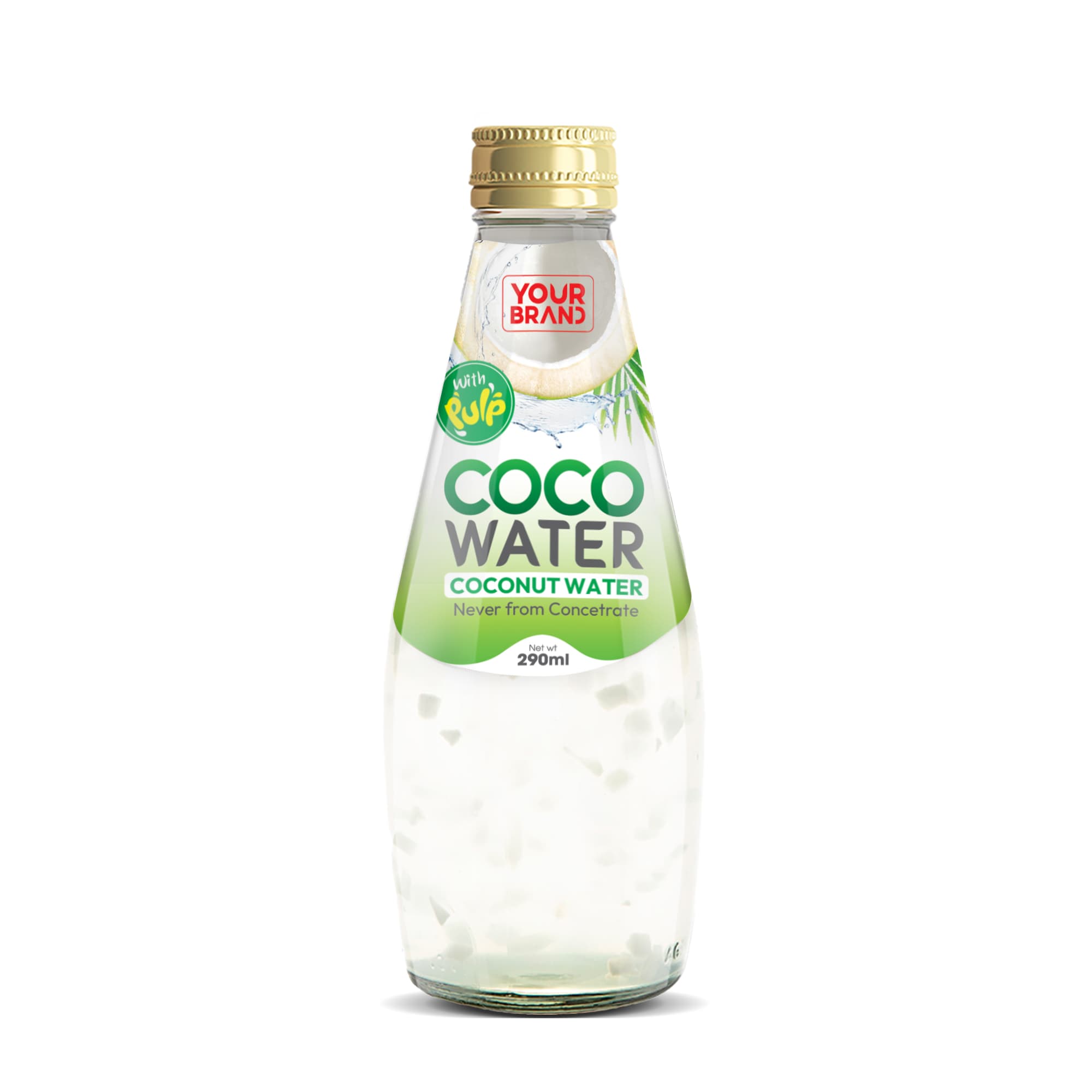 290ml Coco Water with Pulp