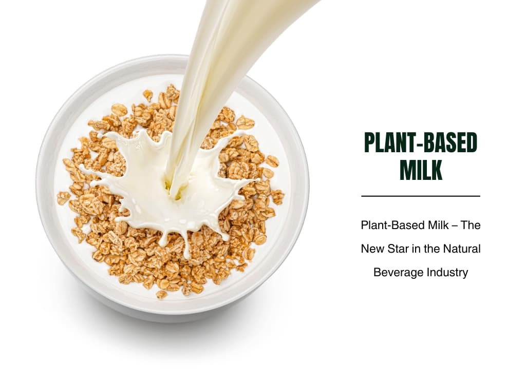 Plant-Based Milk – The New Star in the Natural Beverage Industry