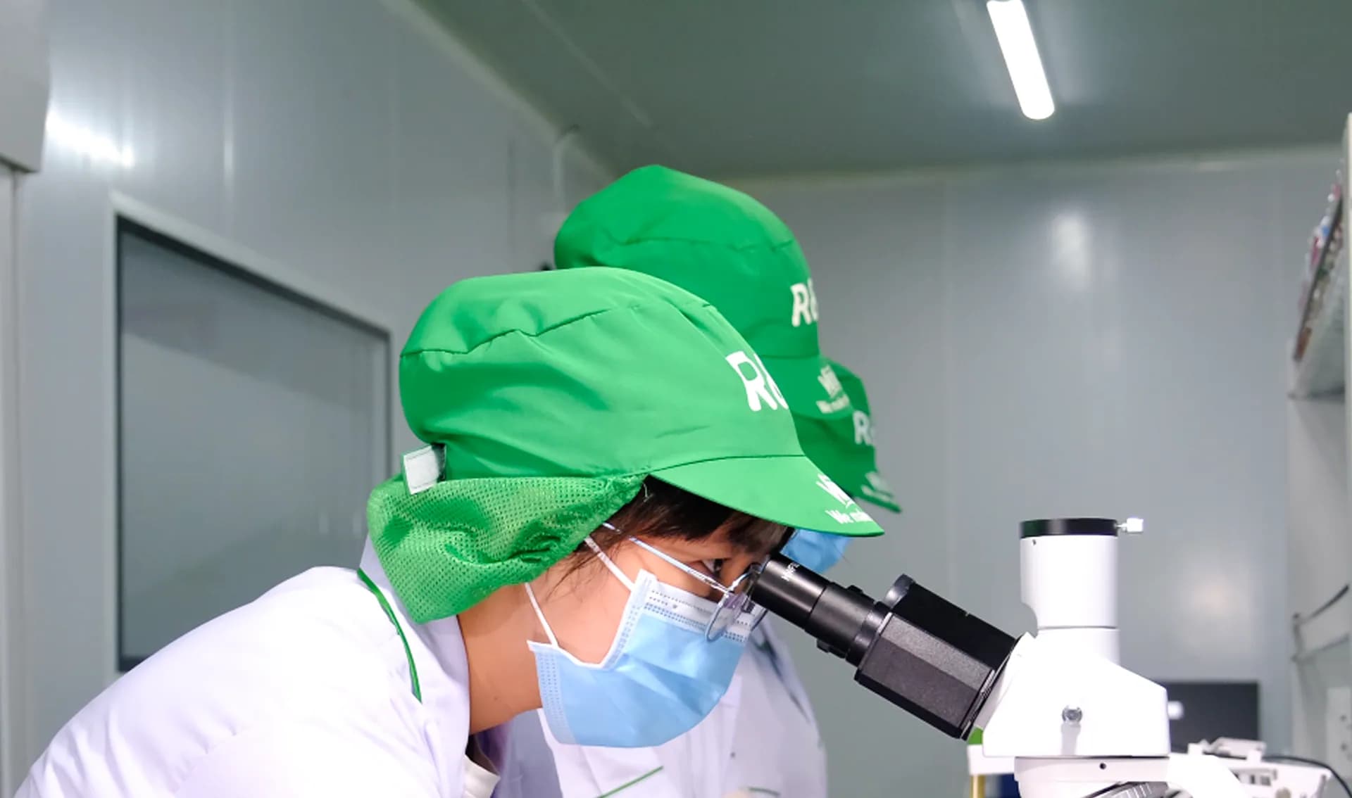 A laboratory technician examines a sample with a microscope.