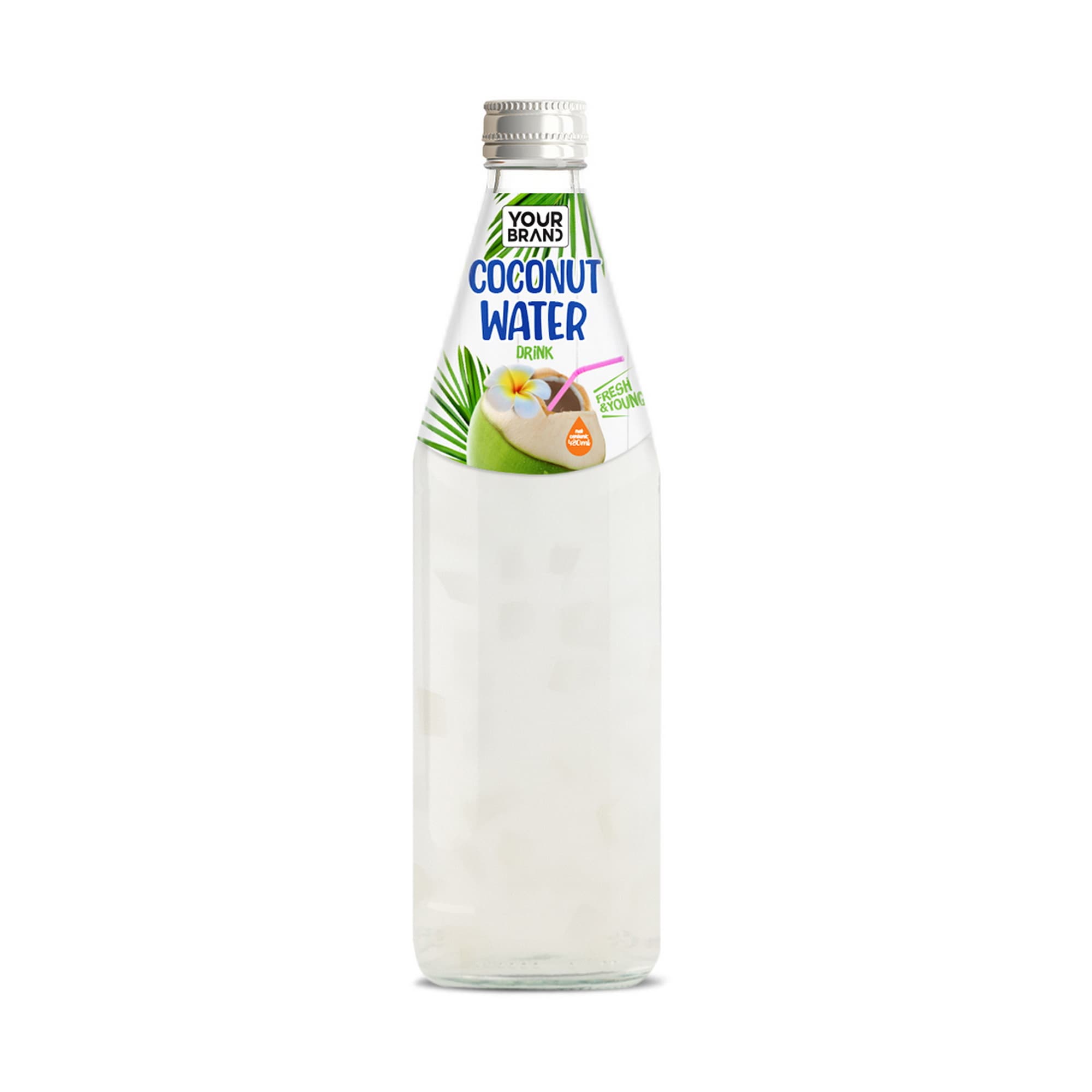 485ml Coconut Water Drink