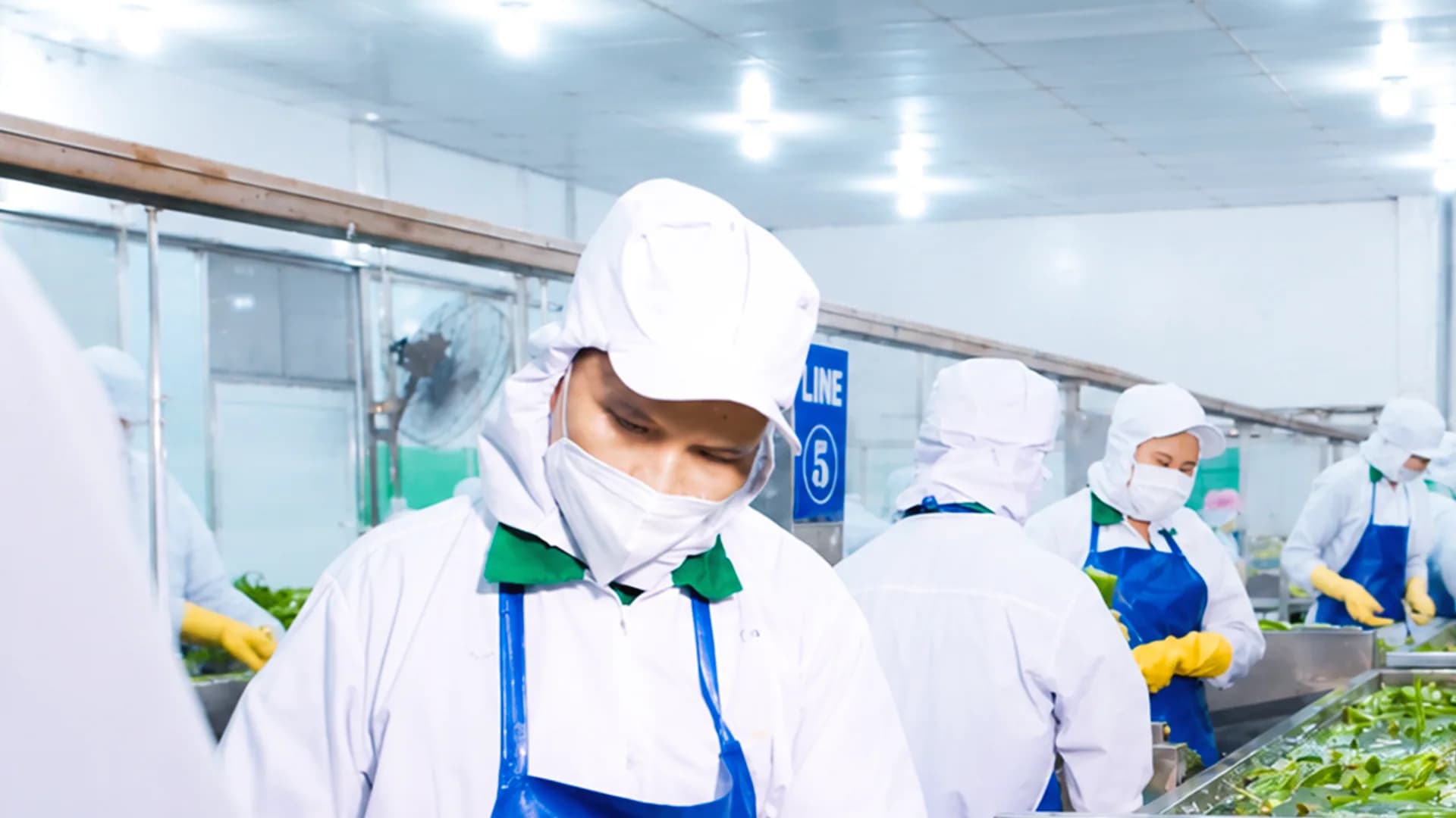 Production staff handling produce at a preparation line.