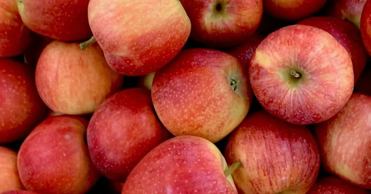 Apples