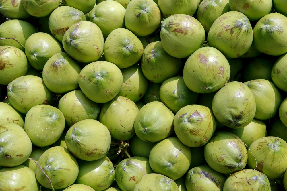 Closeup,Of,Green,Coconut,Heap,On,Open,Air,Market,Stall.