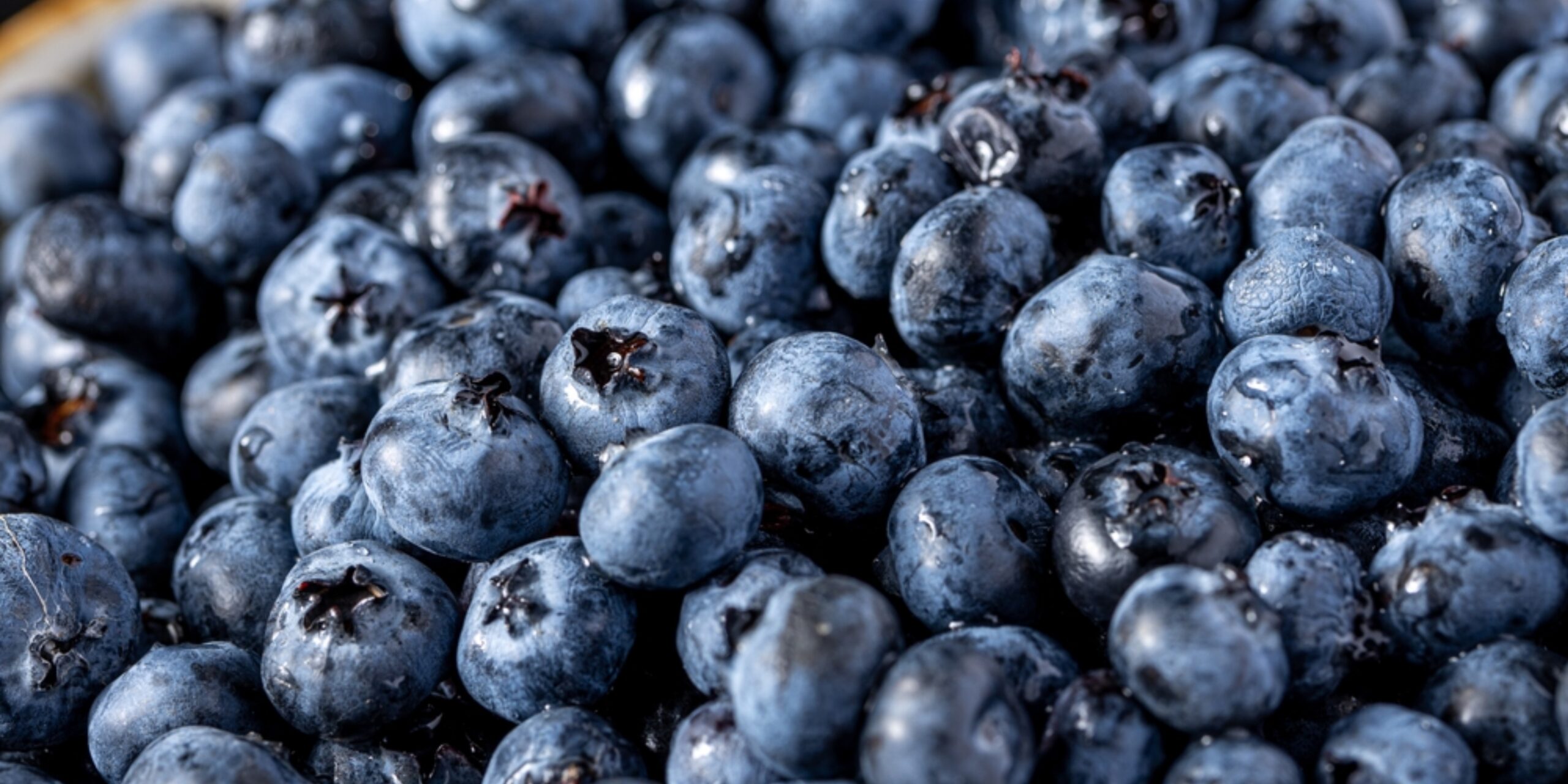 Blueberry’s Unique and Memorable Flavor