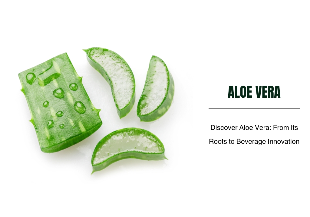 Discover Aloe Vera: From Its Roots to Beverage Innovation