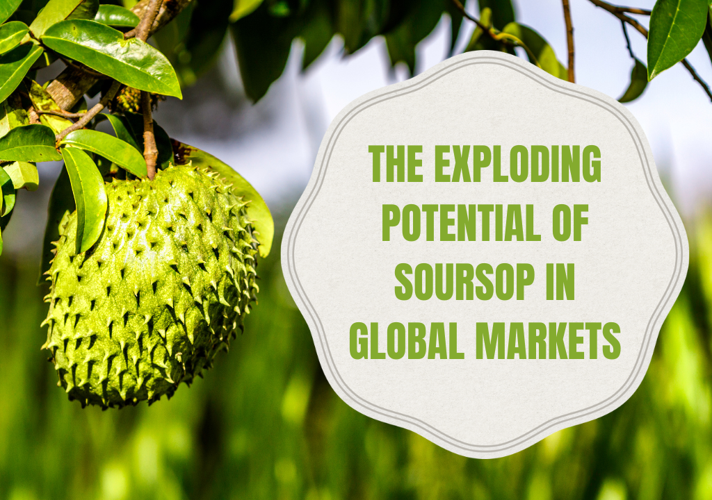 The Exploding Potential of Soursop in Global Markets