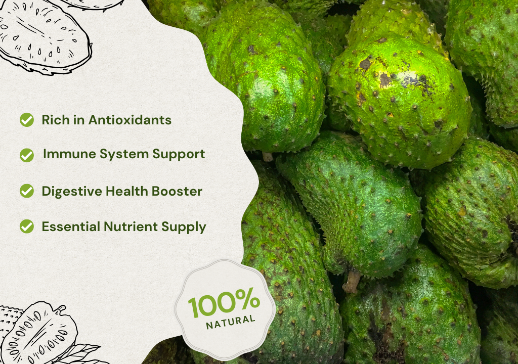 Exceptional Health Benefits of Soursop
