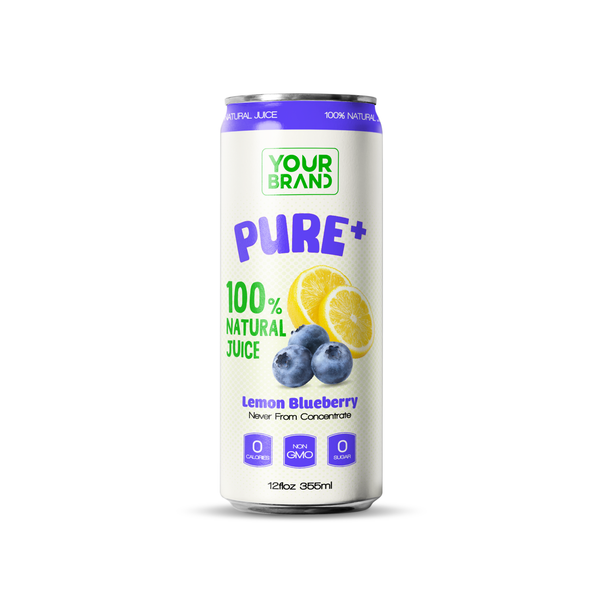 355ml 100% Natural Lemon Blueberry Juice