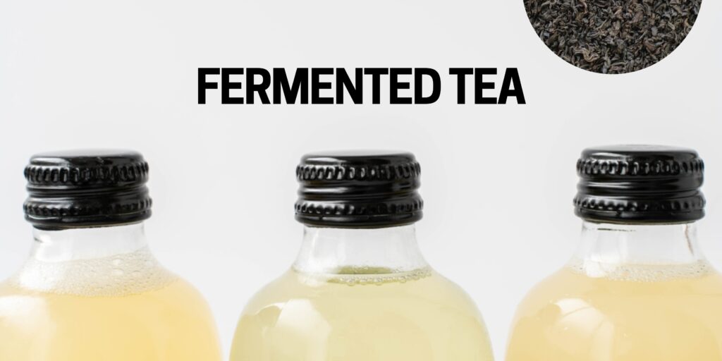 What Is Kombucha? A Look Into the Fermented Tea with Ancient Roots