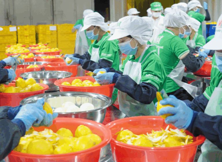 Workers wearing protective clothing and masks peeling fresh fruits at Nam Viet Group for zero sugar and clean label beverage production, ready for export 2025