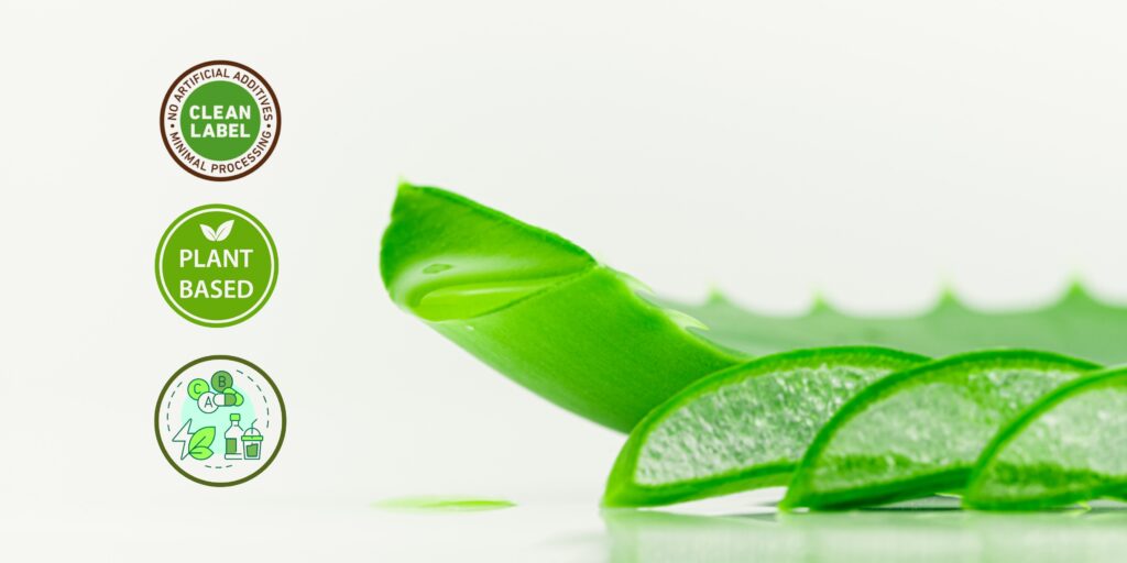 Aloe Vera: Nature’s Healing Powerhouse
