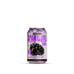 330ml YOUR BRAND Sparkling Blackberry Juice Drink
