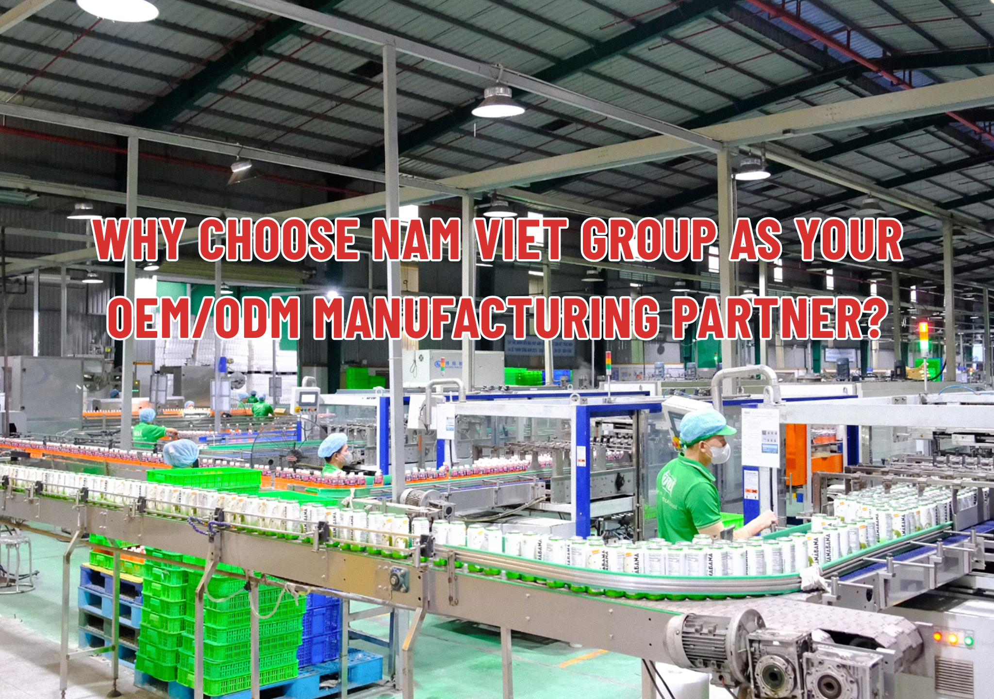 Why choose NAM VIET GROUP as your OEM/ODM manufacturing partner?