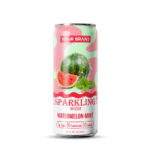 355ml YOUR BRAND Sparkling Water with Watermelon Mint flavor