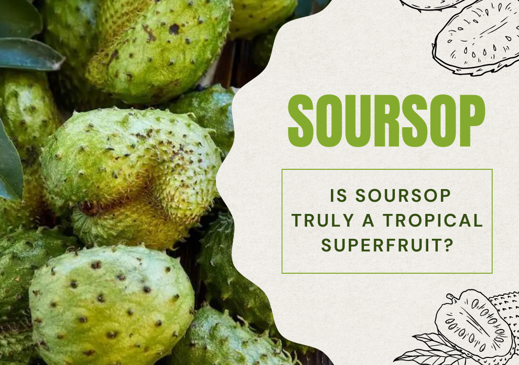 Is Soursop Truly a Tropical Superfruit?