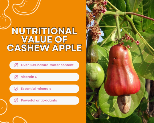 Nutritional Value of Cashew Apple