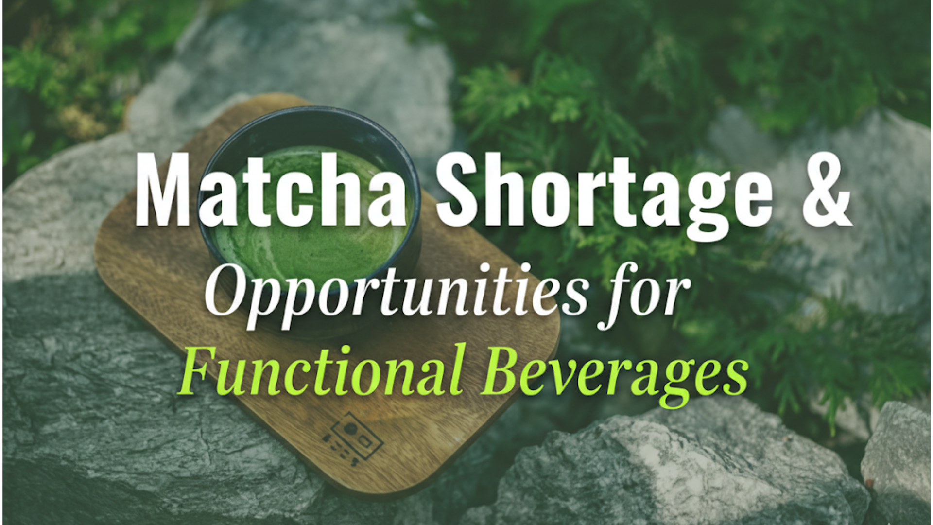 Matcha Shortage & Opportunities for Functional Beverages