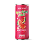 Sparkling Watermelon juice drink