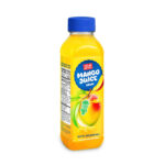500ml Your Brand Mango Juice Drink
